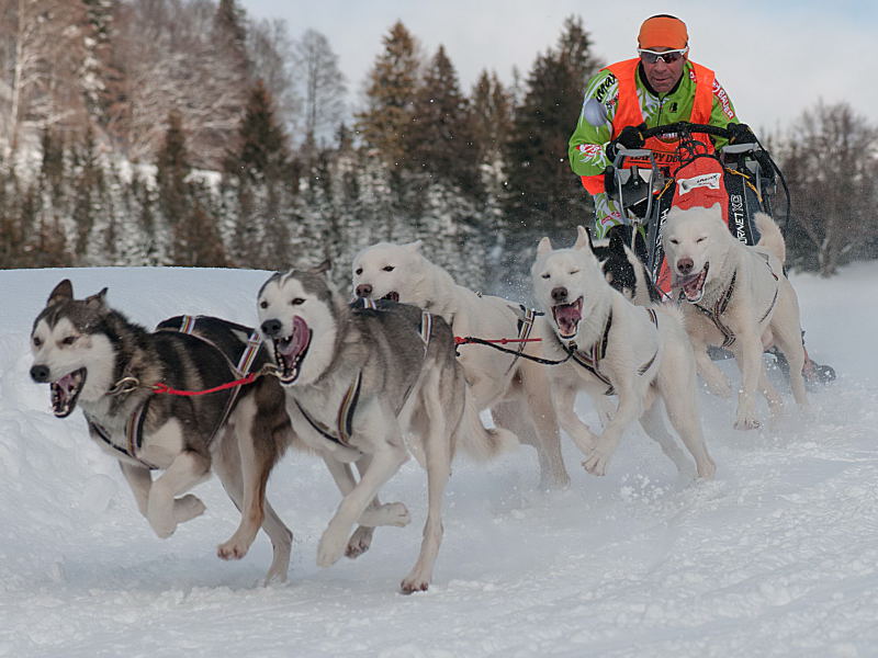 9. Platz Christian Reichert